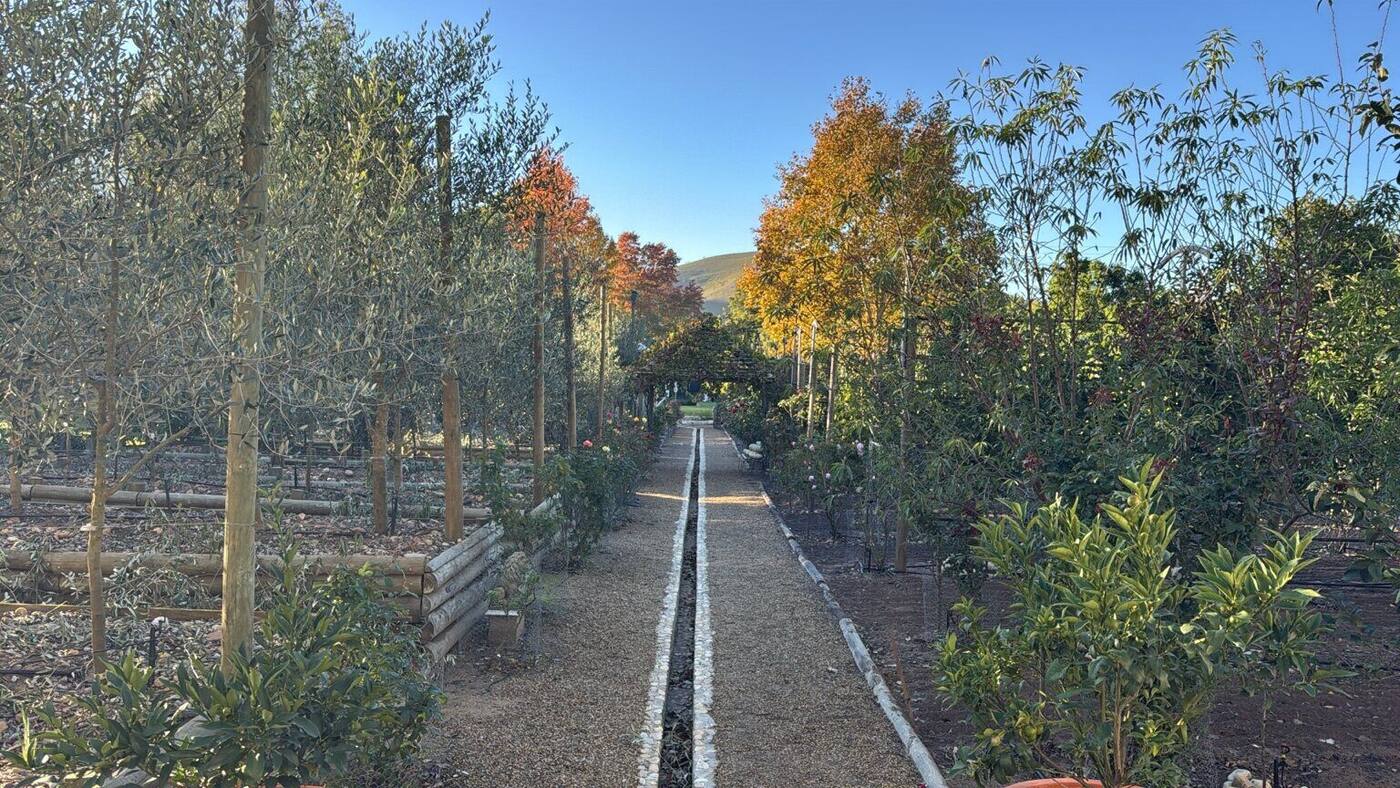 The long garden path through Eden Farm in autumn